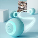 SmartBall Petlix  | Bolinha Mágica