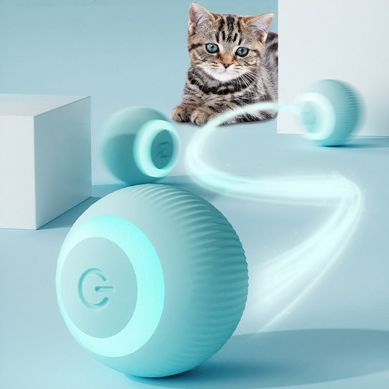 SmartBall Petlix  | Bolinha Mágica