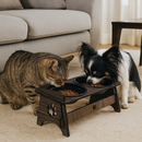 Comedouro Bebedouro Pet Suspenso Para Gato e Cachorro Com TAMPAS