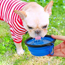 Kit Tigela Retrátil Portátil para Pets