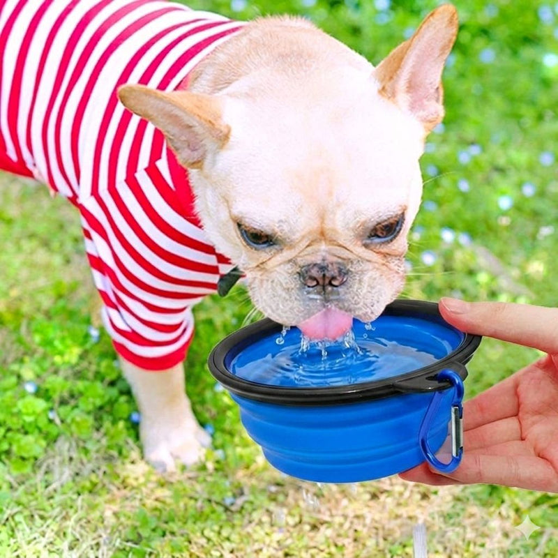 Kit Tigela Retrátil Portátil para Pets